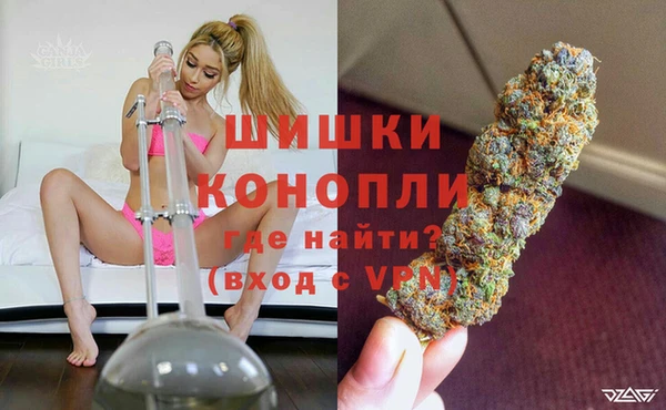 гидра Кинешма
