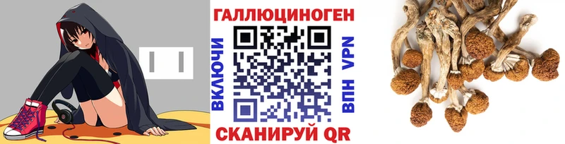 kraken ONION  Малоархангельск  Галлюциногенные грибы мицелий 